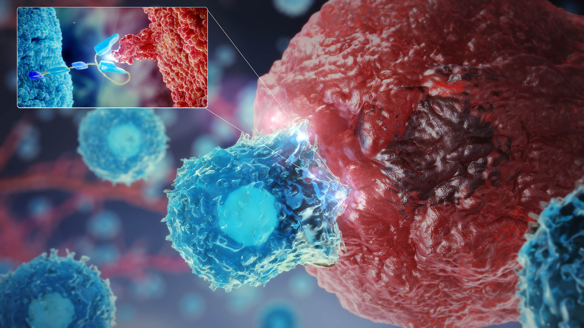3D illustration of a blue immune cell attacking a red cancer cell with a close-up inset showing molecular interaction between them.