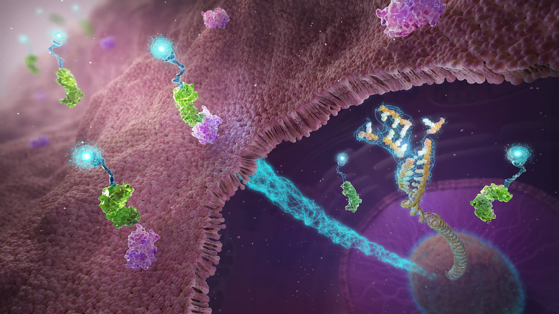 Illustration of a cell membrane with proteins and a DNA strand linked to a glowing blue molecular structure inside the cell.