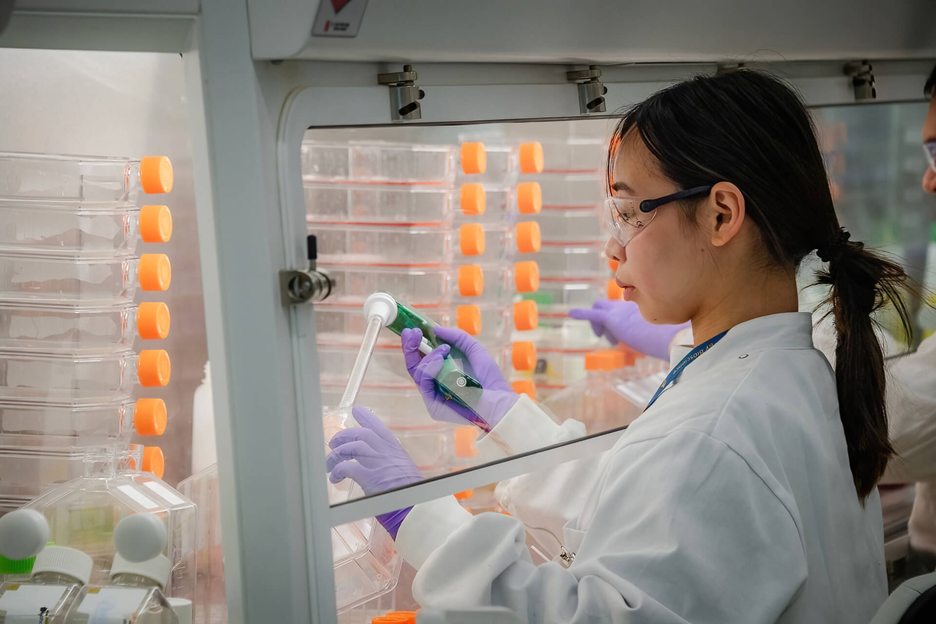 Scientist wearing safety glasses and purple gloves working with laboratory equipment inside a biosafety cabinet.