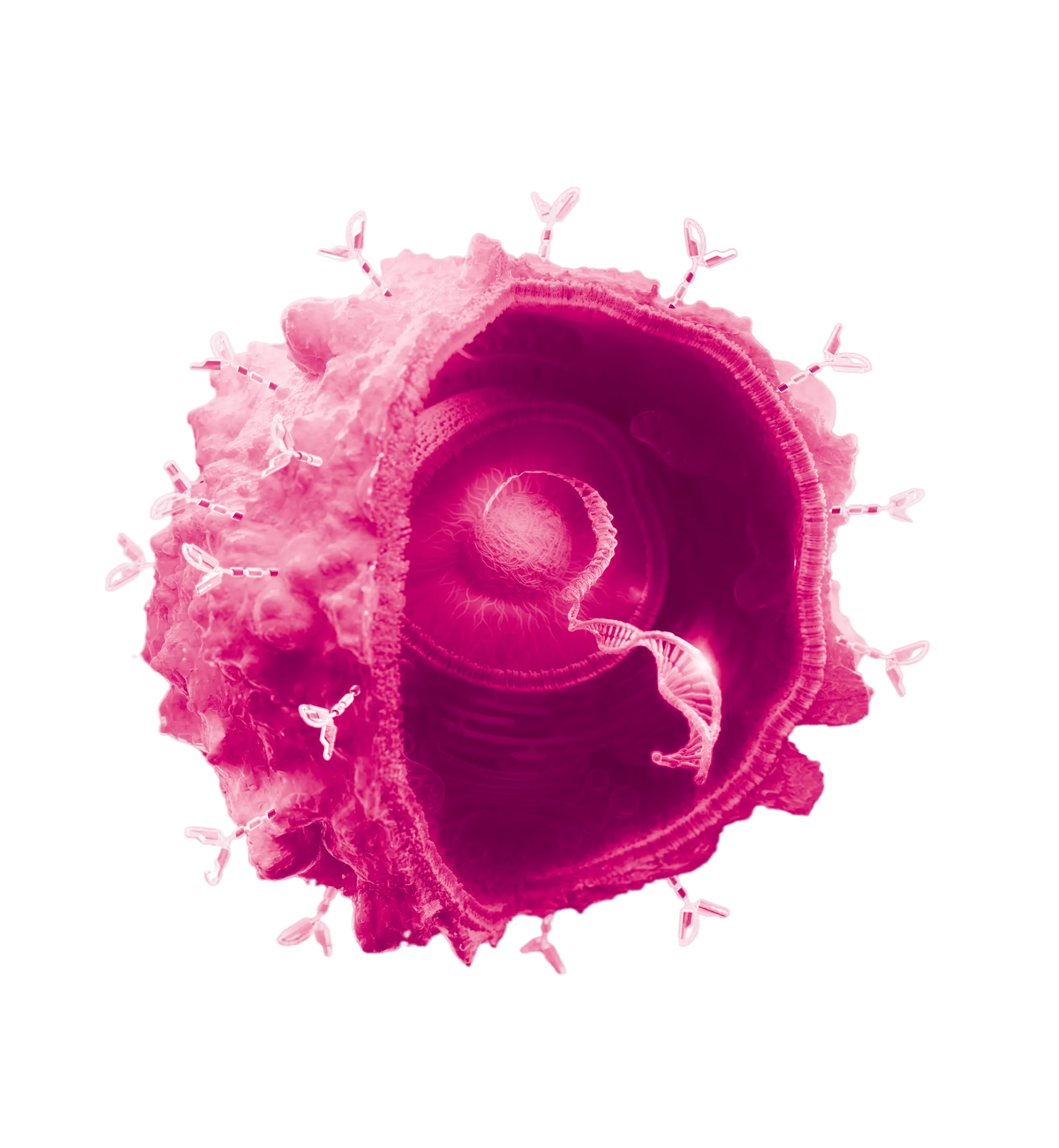 Detailed 3D visualization of a virus or cell structure with an RNA strand inside and surface proteins protruding.