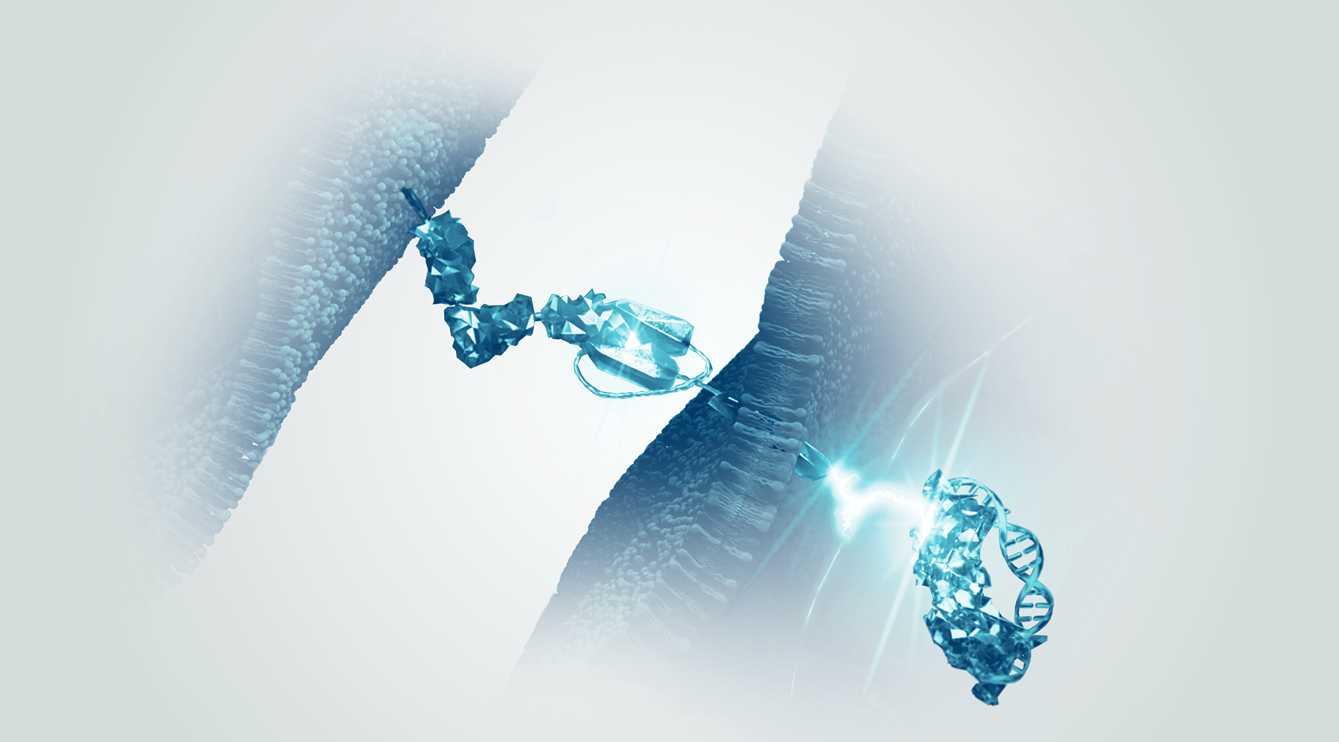 Illustration of a pink molecular structure interacting with a cell membrane, showing a glowing connection to DNA strand.