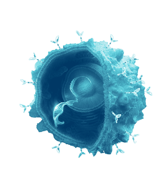 3D illustration of a blue cell with receptors on its surface and a spiral DNA strand inside.
